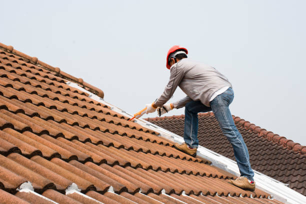 Best Roof Coating and Sealing  in Algonquin, IL
