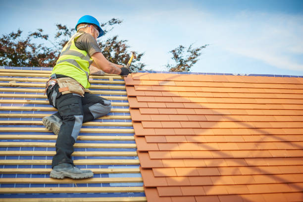 Best Skylight Installation and Repair  in Algonquin, IL